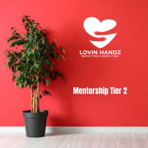 Mentorship Tier 2