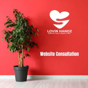 Website Consultation