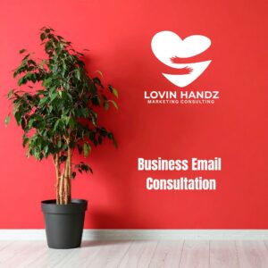 Business Email Consultation